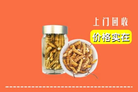 连平县回收散虫草