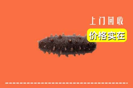 连平县回收海参