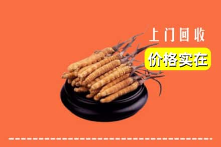 连平县回收冬虫夏草